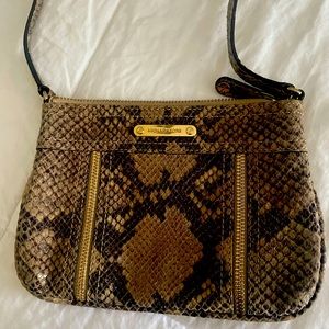Snakeskin crossbody